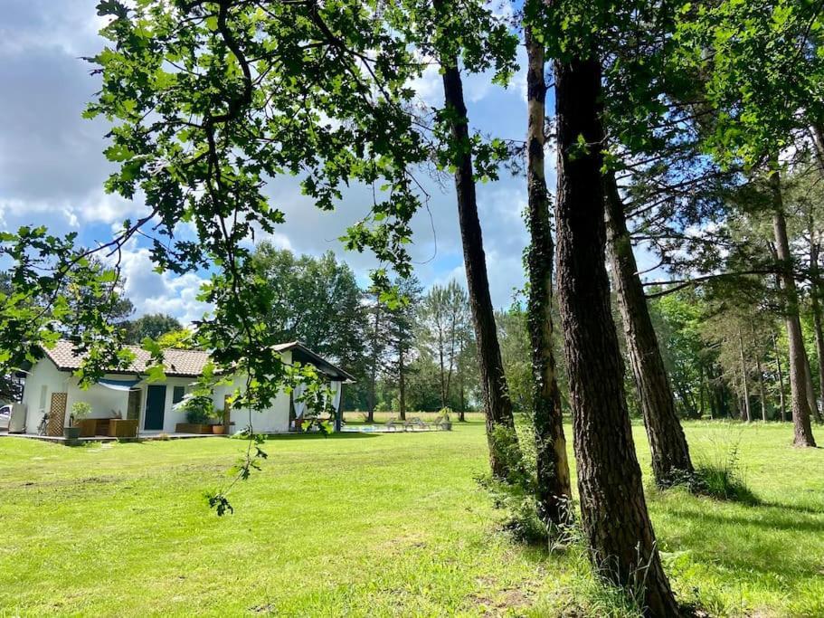 Gite La Lande En Pays Basque Apartment Came Exterior photo